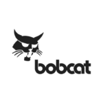 bobcat