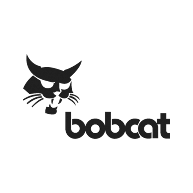 bobcat